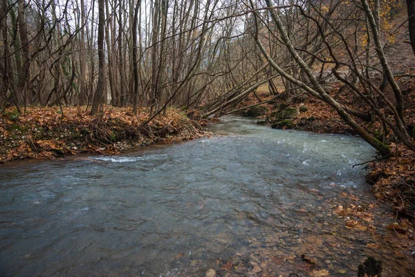 Paisaje escénico de otoño de montaña con río y cascadas de agua, P —  Fotos de Stock