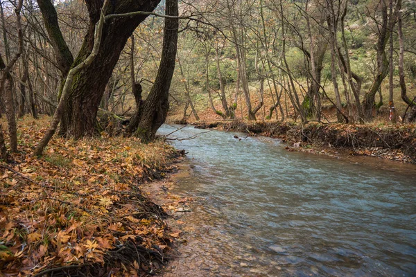 Malebné horské podzimní krajina s řekou a watergfalls, P — Stock fotografie