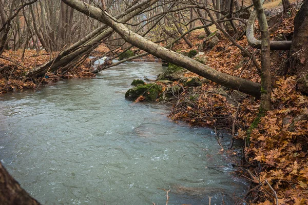 Schilderachtige herfst berglandschap met rivier en watergfalls, P — Stockfoto