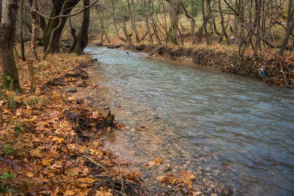 Malebné horské podzimní krajina s řekou a watergfalls, P — Stock fotografie