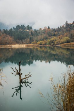 Lake Tsivlos, Peloponnese yeşil suları ile sonbahar manzara,