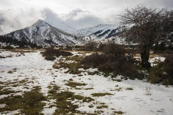 Kayak Merkezi takma Helmos üzerinde yakınındaki kış karlı dağ manzarası, — Stok fotoğraf