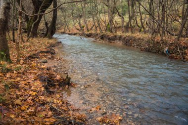 Doğal dağ nehir ve watergfalls, P ile sonbahar manzarası