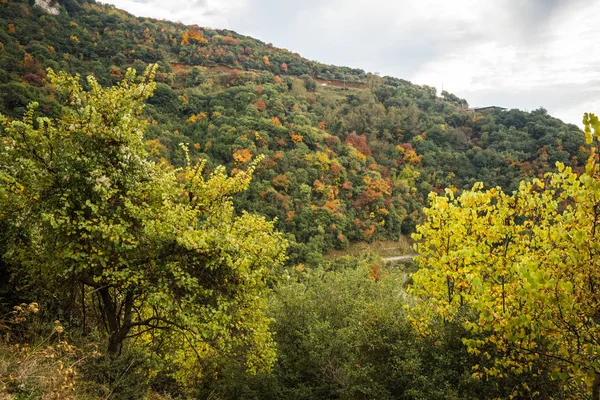 Herbstlandschaft in Louise-Schlucht auf dem Peloponnes in Griechenland — Stockfoto