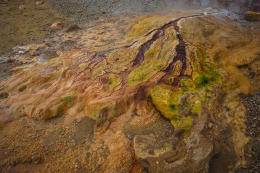 Loutro Edipsou, EVIA, gr plajda doğal termal şelaleler