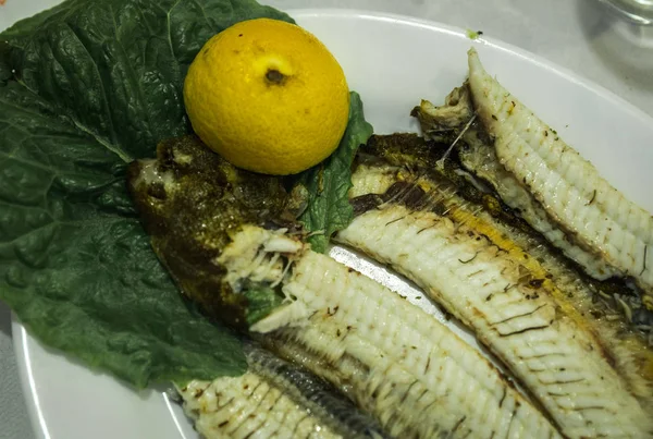 Stilleven met vis, groenten en kruiden — Stockfoto