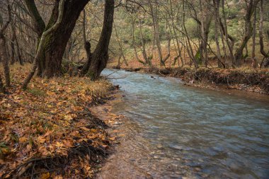 Doğal dağ nehir ve watergfalls, P ile sonbahar manzarası