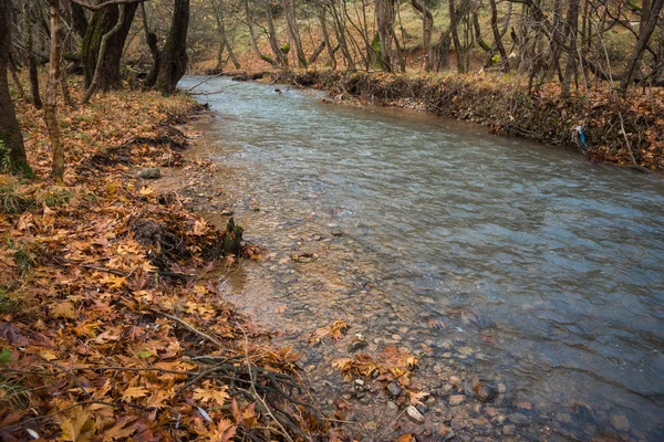 Schilderachtige herfst berglandschap met rivier en watergfalls, P — Stockfoto