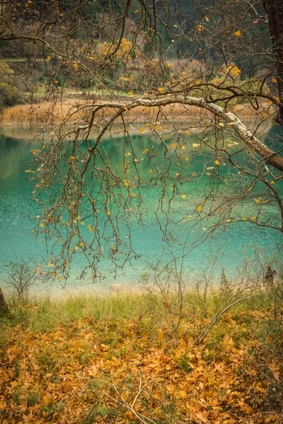 Herbstlandschaft mit grünem Wasser des Tsivlos-Sees, Peloponnes, — Stockfoto