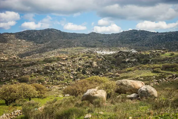 Schöne Landschaft mit Feldern, Bergen und Blumen — Stockfoto