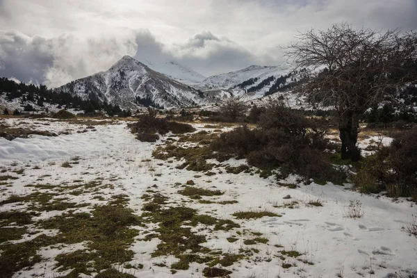 Hiver paysage enneigé de montagne près du centre de ski sur le mont Helmos , — Photo