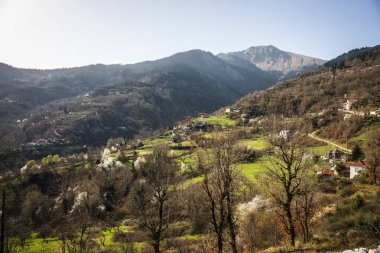 Yunanistan'da bir heyelan sonra köy Ropoto kayar