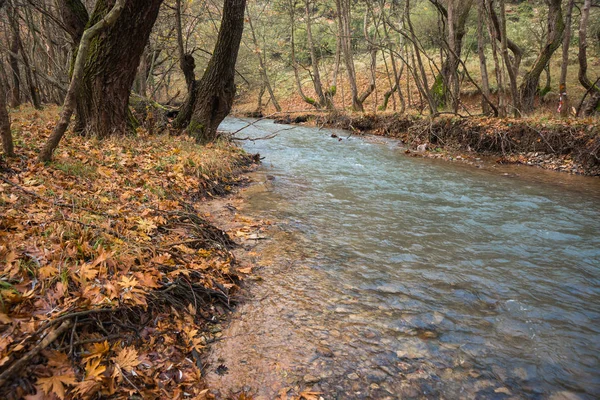 Doğal dağ nehir ve watergfalls, P ile sonbahar manzarası