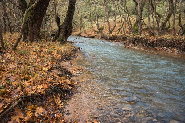 Paisagem de outono montesa cênica com rio e cachoeiras, P — Fotografia de Stock