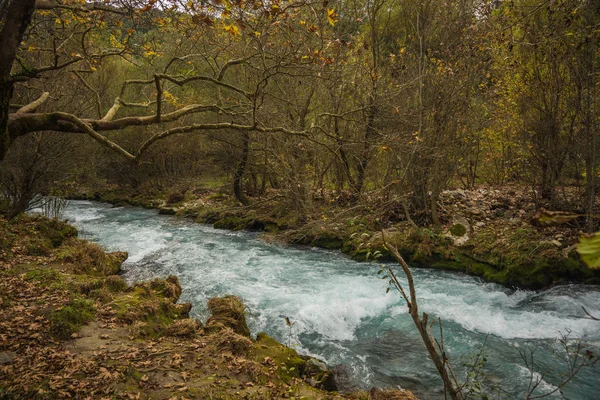 風光明媚な山の秋風景川、watergfalls、P — ストック写真