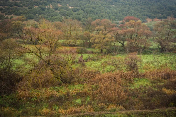 Vouraikos gorge railway, G közelében festői Ködös őszi táj — Stock Fotó