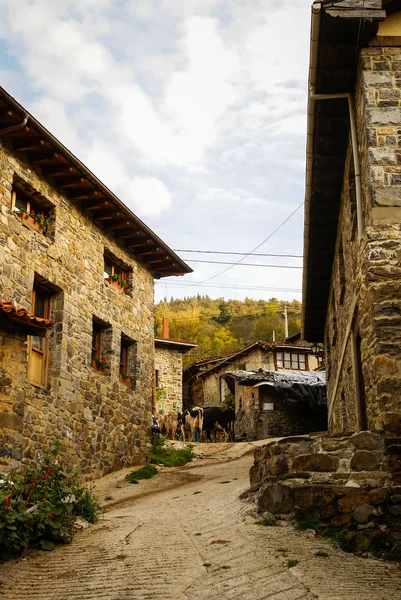 Pittoreska byn under hösten i bergen i Europa toppar — Stockfoto
