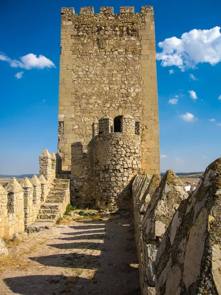 Almansa Kalesi, Castilla la Mancha, İspanya — Stok fotoğraf