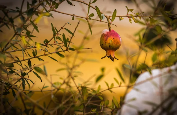 Nar kar - Atina karda - nadir ve eşsiz olay