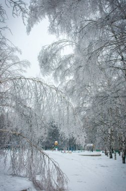 Moskova parklarda, doğal afet buzlu yağmur