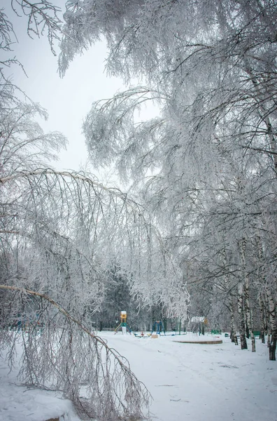 Moskova parklarda, doğal afet buzlu yağmur