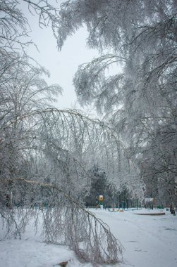 Moskova parklarda, doğal afet buzlu yağmur
