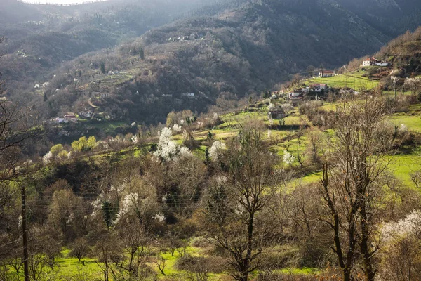 Glijdende dorp Ropoto na een aardverschuiving in Griekenland — Stockfoto