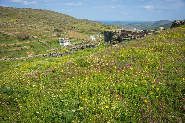 Yunanistan Tinos Adası üzerinde güvercin evleri