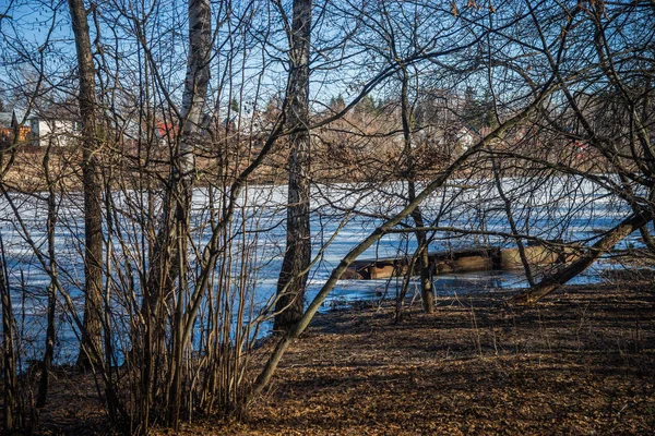 Woodlands na margem do lago com uma aldeia no opositor — Fotografia de Stock