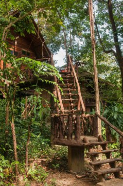 Evler Stilts yağmur ormanı Khao Sok kutsal Thail