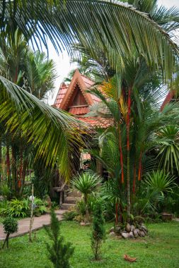 Evler Stilts yağmur ormanı Khao Sok kutsal Thail