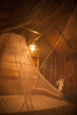 Mosquito net over bed in the guesthouse of  Khao Sok sanctuary,  clipart