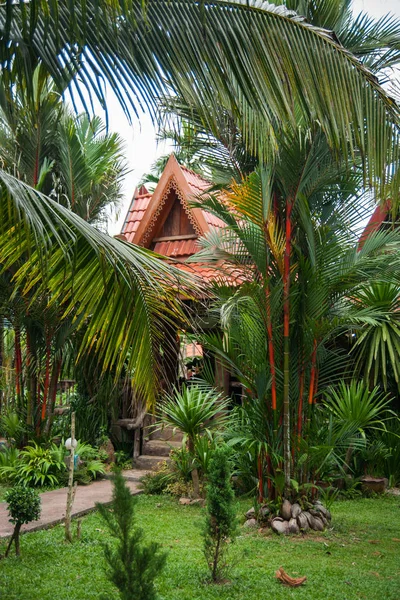 Casas sobre pilotes en la selva tropical del santuario de Khao Sok, Thail — Foto de Stock