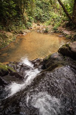 Şelale ve yağmur ormanı Khao Sok sanctuar küçük gölde