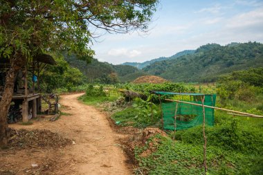 Manzara tropik yağmur ormanı Khao Sok Sanctuary, Thailan