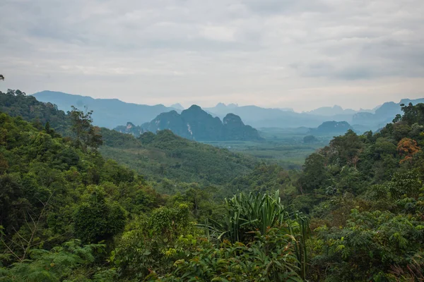Краєвид тропічного дощу ліс Khao Sok святилище, Thailan — стокове фото
