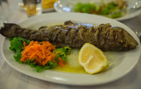 Balık, sebze ve otlar ile natürmort — Stok fotoğraf