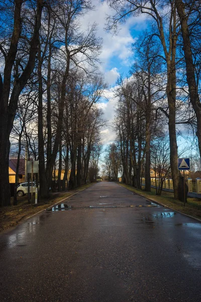 Callejón con álamo cerca de Moscú, Rusia — Foto de Stock