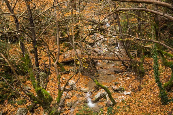 Paisagem de outono com um rio — Fotografia de Stock