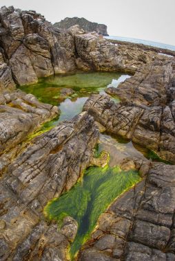 Güzel La Franca plaj Cantabria, İspanya
