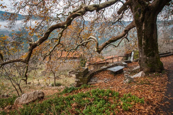 Autumn foggy landscape in gorge of Louise on Peloponnese, Greece — Stock Photo, Image