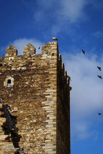Storkar på ruinerna av slottet i Laguna de Negrillos, Spanien — Stockfoto