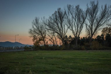 Pembe günbatımı ve ağaçlar antik Mantinea, Yunanistan