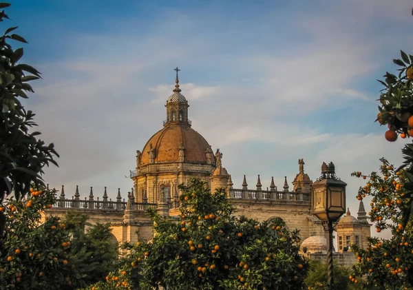 Catedral y naranjas en Jerez de la Frontera — Foto de Stock