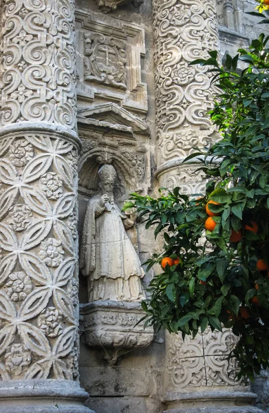 Katedrála a pomeranče v Jerez de la Frontera — Stock fotografie