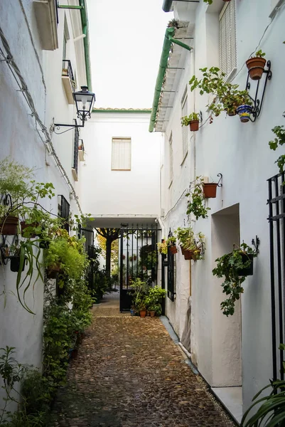 Cityscape di kota putih Priego de Cordoba di Andalucia, Spanyol — Stok Foto