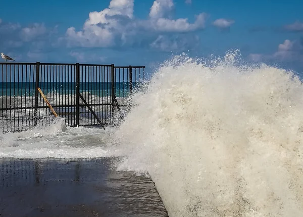 High wave with cloud of splash on beach in Sochi