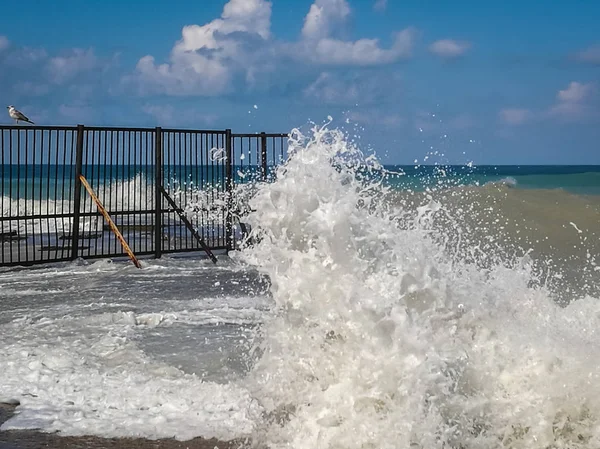 Splash plajda Sochi bulutu ile yüksek dalga
