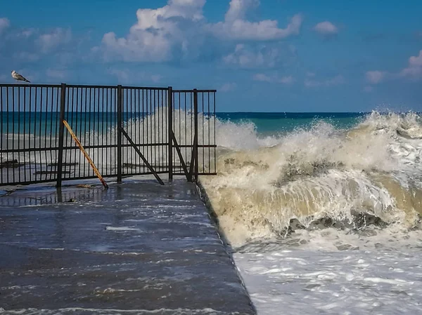 Splash plajda Sochi bulutu ile yüksek dalga