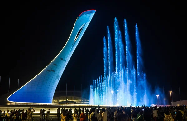 Fântâna cântând în parcul din Sochi — Fotografie, imagine de stoc